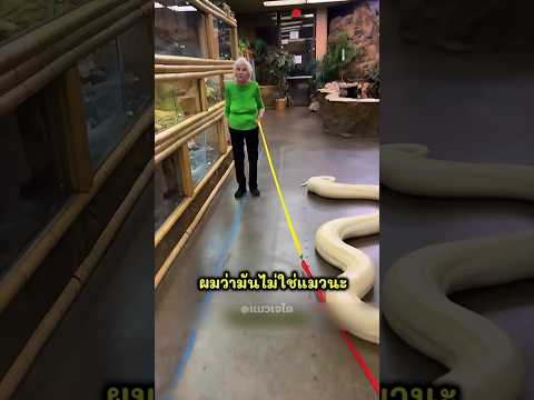 ยายคิดว่าเจ้าตัวนี้เป็นแมวที่น่ารัก