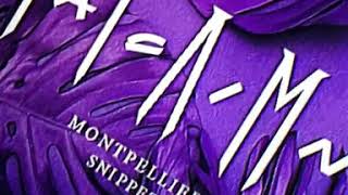 MIAMI YACINE Montpillier