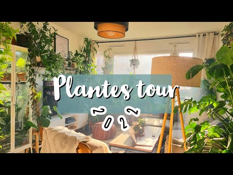 , title : '🌿 PLANTES TOUR 2022 🌿 150 plantes dans 55m2 !'