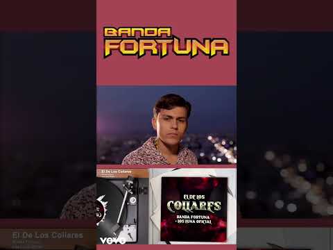 El De Los Collares - Banda Fortuna Y Los Luna DETRÁS DE CÁMARAS Parte 3 #music #shorts #shortvideo