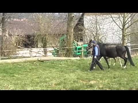 Don Romanov x Laurentio x De Niro