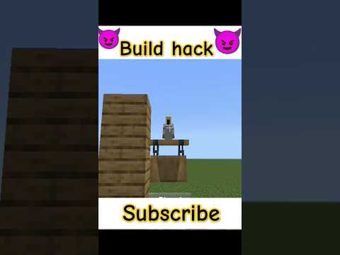 Unbelievable Minecraft Build Hack