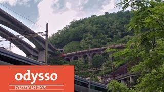 Was macht die Schweiz besser? | Odysso – Wissen im SWR