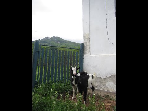 day 1 Bucuresti   Lunca Gartii