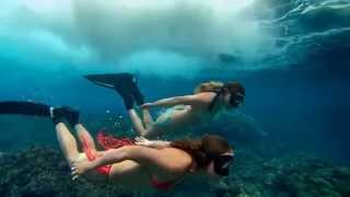 Markus Schulz & Venom One feat. Chris Madin - Revolution (Remember The Revolution Mix)