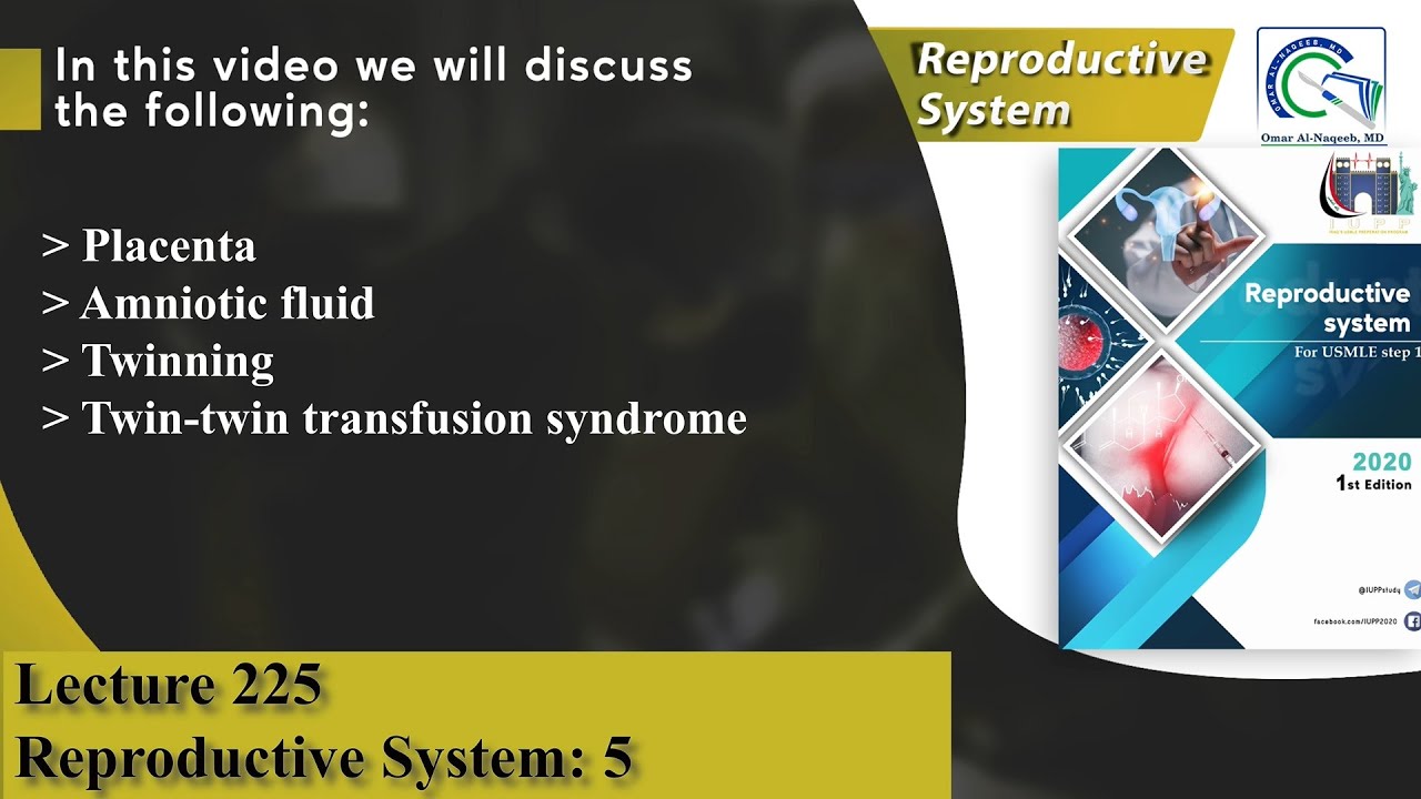 Placenta | Amniotic fluid | Twinning | Twin-twin transfusion syndrome