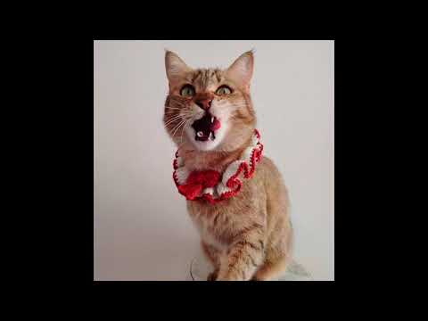 Great Barrier Wreath - Wicket Festive Wreath Cat Collar