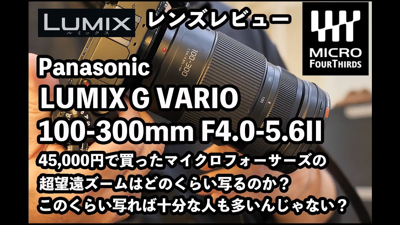 【レンズレビュー】LUMIX G VARIO 100-300mm F4.0-5.6 II POWER O.I.S.【マイクロフォーサーズなら600mm f5.6がこのサイズ】#panasonic