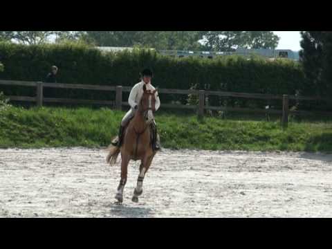 ♥ Delphine Perez and Quetsche du Gue