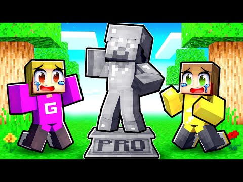 Pro Is In Steen Veranderd (Minecraft Survival)