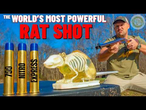 The World’s Most POWERFUL Rat Shot !!! (700 Nitro Express Rat Shot)