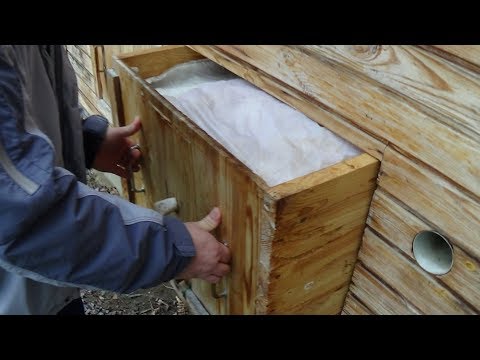 Визуальная проверка на наличие пчелы зимой, апиулей