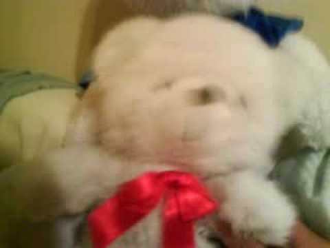 happy b-day to BOJAN