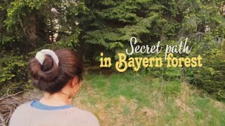 My morning in small town-slow living in Germany-walking in the forest 🌱-silent vlog