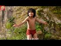 The Legend Will Never Be The Same The Jungle Book Movie Recap