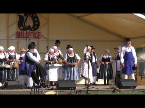 Trhy - festival Milotice 2016