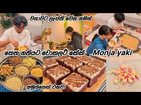 ගෙදරට එන අමුත්තට හදපු චොකලට් කේක් එක ♥️| Li in japan 🇯🇵🇱🇰