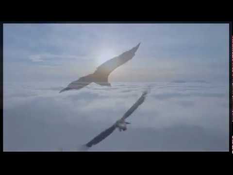 Alleria   Sarah Jane Morris