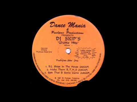 DJ Skip - D.J. Skips In The House (DM208)