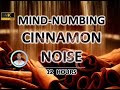 Mind-numbing Cinnamon Noise (12 Hours) BLACK SCREEN - Study, Sleep, Tinnitus Relief and Focus