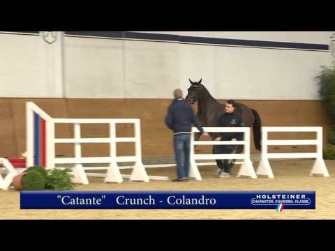 5. Catante v. Crunch - Colandro