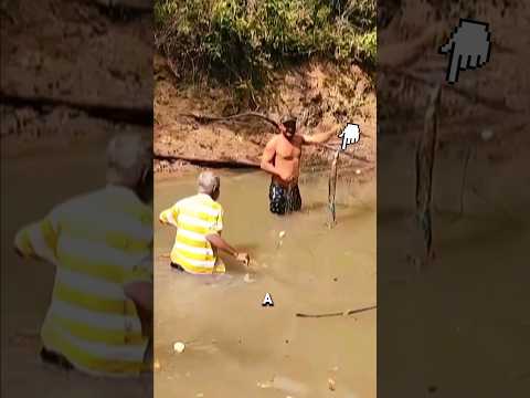 Man Put on sleep mode by an electric Eel. 😁😳