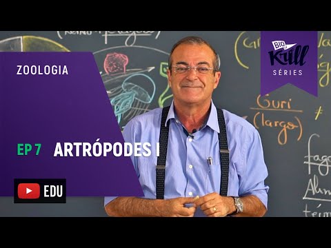 Artrópodes I (Zoologia - EP7) I Biokrill Séries