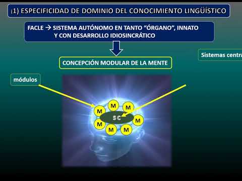 Líneas maestras en Gramática Generativa