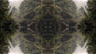 O*Men - Mushroom Flash
