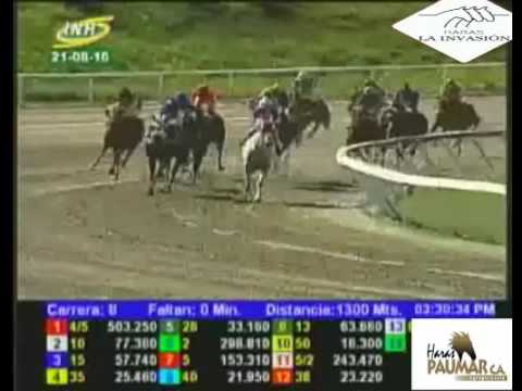 LA RINCONADA 8 CARRERA, DOMINGO 21 DE AGOSTO DEL 2016