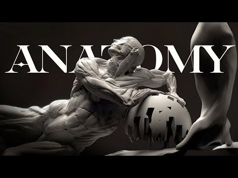 Fundamental Anatomy for Sculptors | Trailer