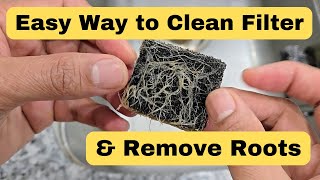 Quick Guide: Clean Your Pump Filter & Remove Roots #hydroponics #aerogarden #gardening