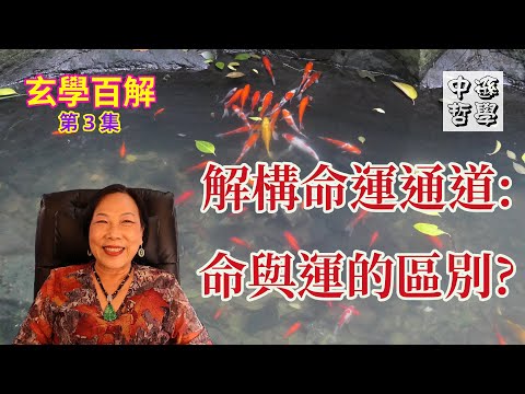 命與運