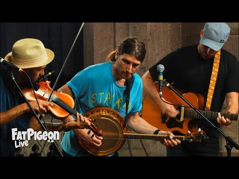 The East Pointers - Tanglewood [LIVE]