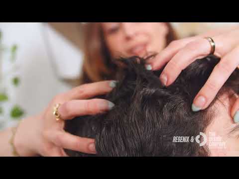 How the Regenix System Works