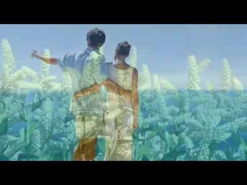 Z Tobą chce oglądać świat - Zbigniew Wodecki & Zdzisława Sośnicka