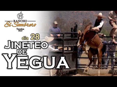 MARE RIDING day 28 - Rancho El Sombrero 2021 inauguration