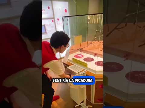 Así Se Sentiría La Picadura De Un Mosquito Gigante 😂 #shorts