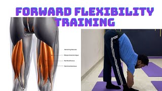 Seated Hamstring Stretch demonstration thumbnail