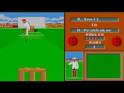 Cricket Amiga picture