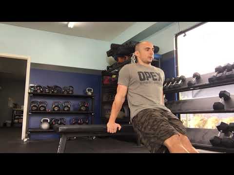 Chair Dip - OPEX Santa Monica Exercise Library