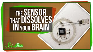 The Sensor That Dissolves in Your Brain