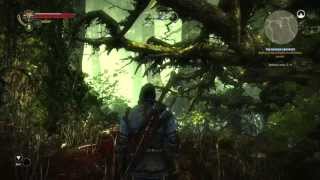 The Side Quest: The Witcher 2 - Nekker Contract