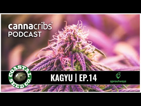 Kagyu and Coastal Seed Co - Legendary Cannabis Breeder Joins Sproutways Network of B2B Seed Sales