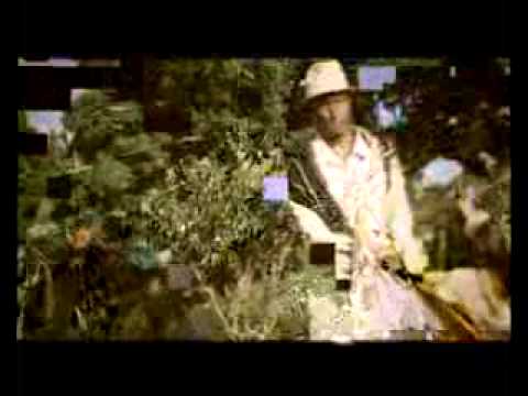 Ramora Favori Mpihatsara velatsihy