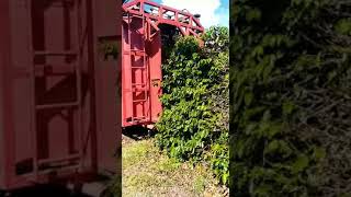 Miniatura do vídeo