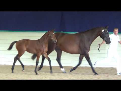 Legacy - Keuring 08312016