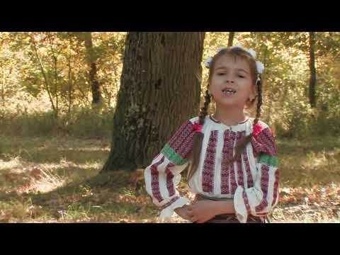 Alexandra Sofei - Si-au pornit olteni la coasa