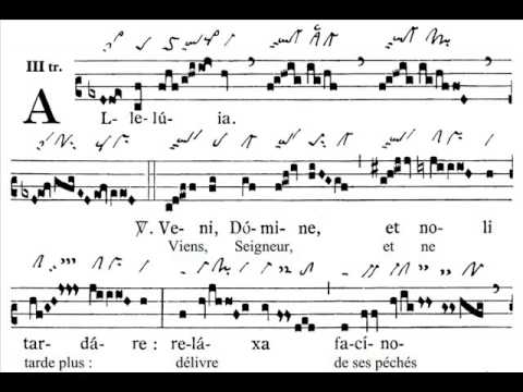 Alleluia Veni Domine, Dominica IV Adventus (4 Avent)