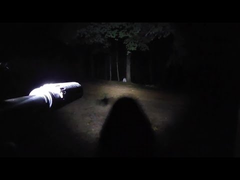 SightMark Lo-Pro Weapons Light/ Laser Combo Review! #gunculture #guns